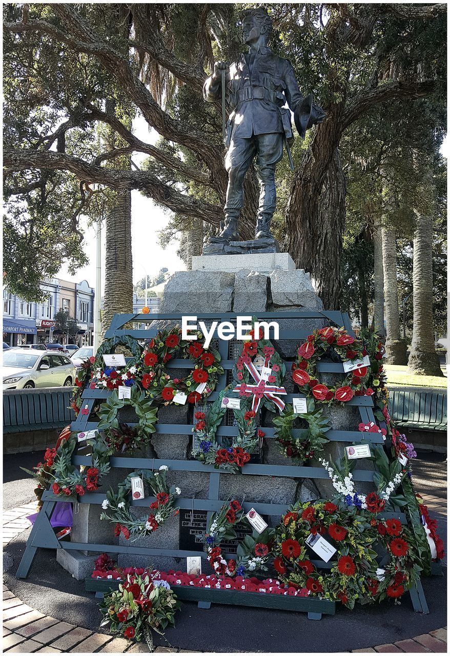 STATUE OF FLOWER PLANTS IN PARK