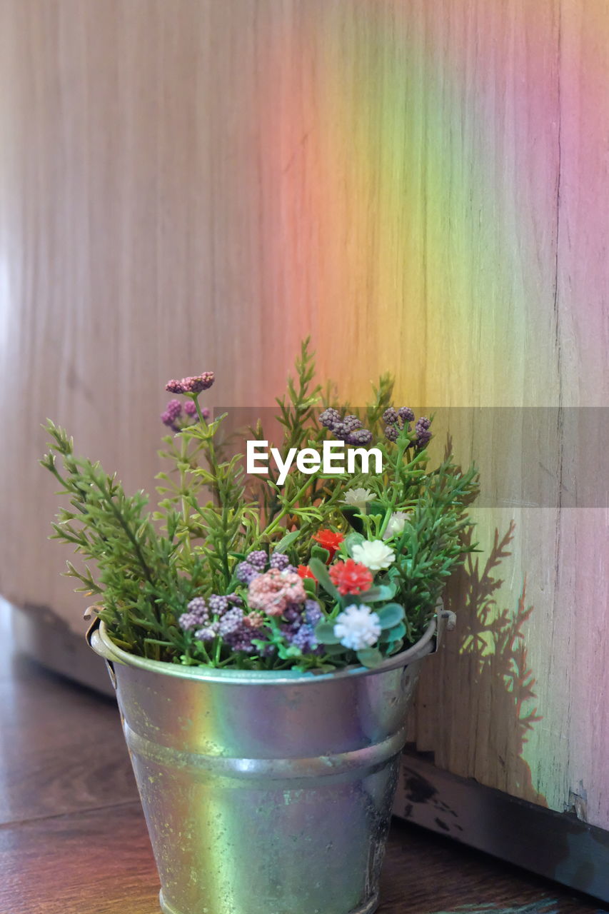 POTTED PLANT ON TABLE