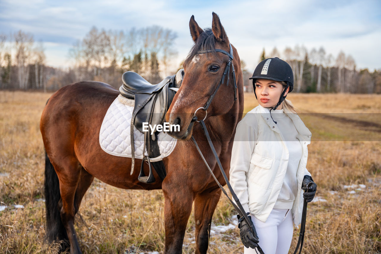 rear view of horse standing on field
