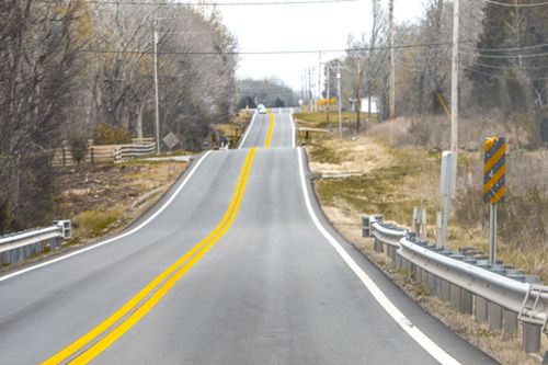 EMPTY ROAD ALONG TREES