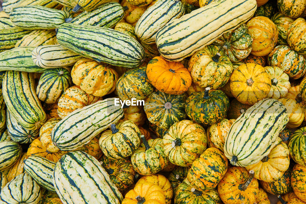 Full frame shot of pumpkins at market stall