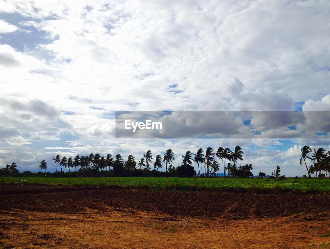 SCENIC VIEW OF FARM AGAINST SKY