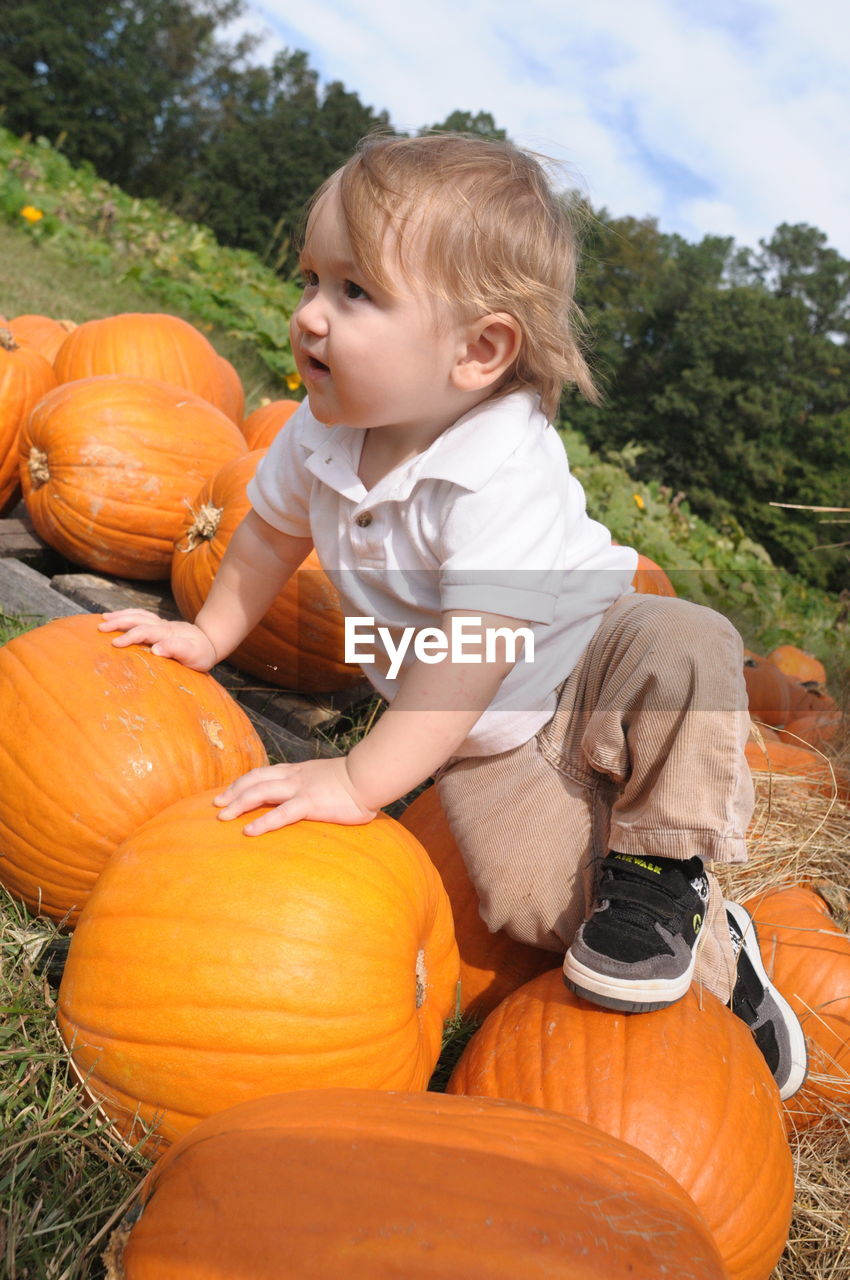 Boy on pumpkins at field