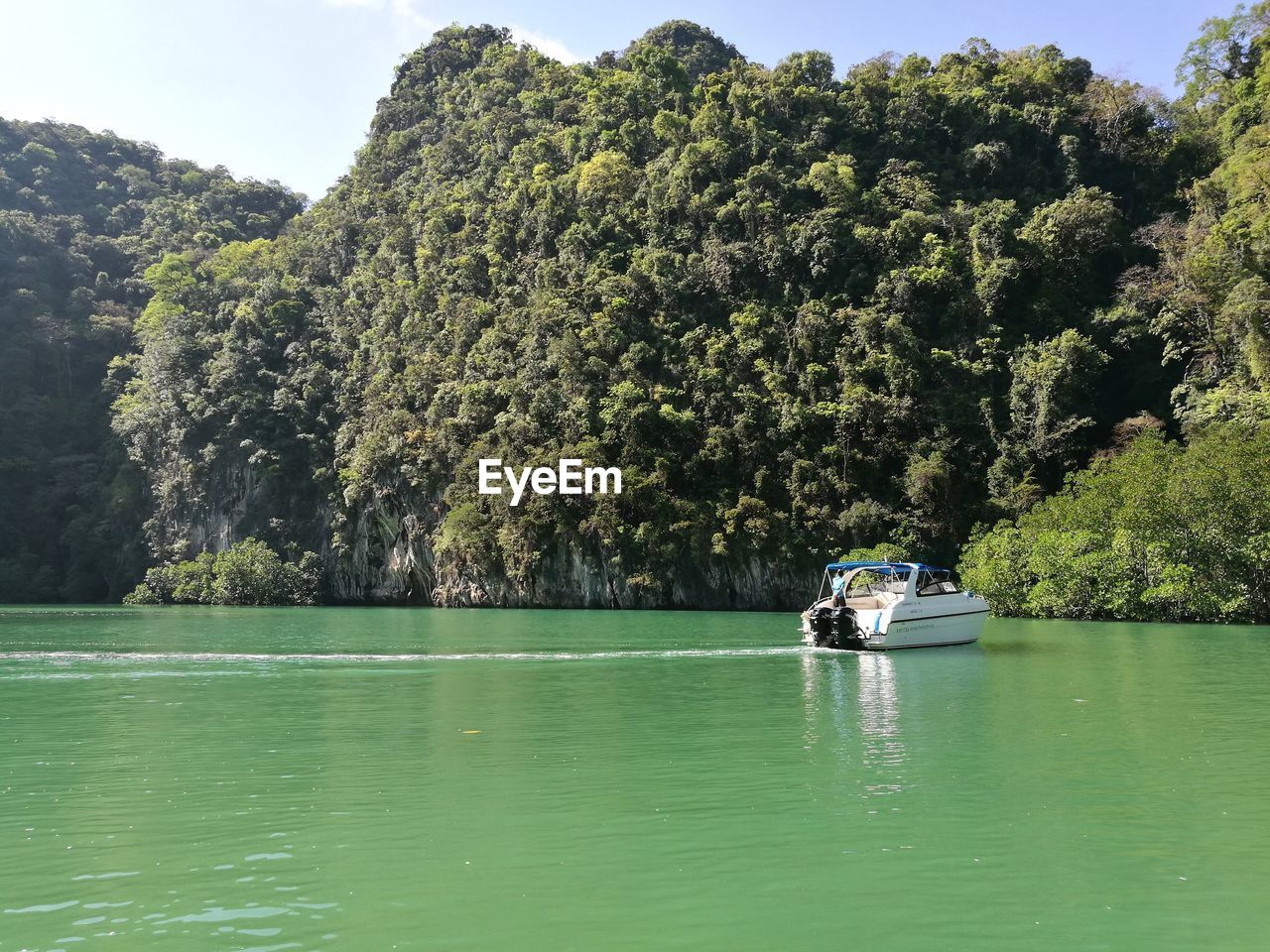 Woman sailing in boat on river against trees