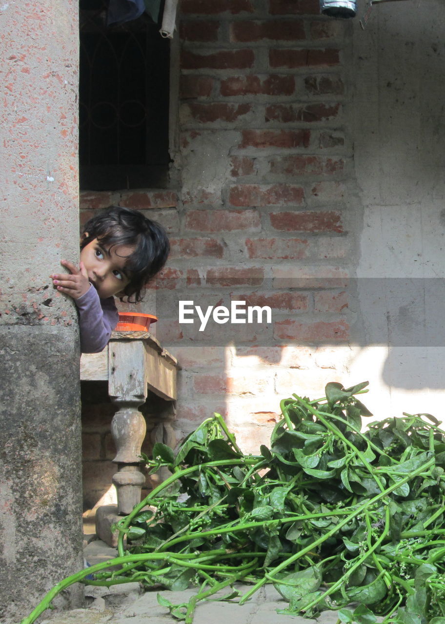 Girl looking away while hiding behind wall by leaf vegetables