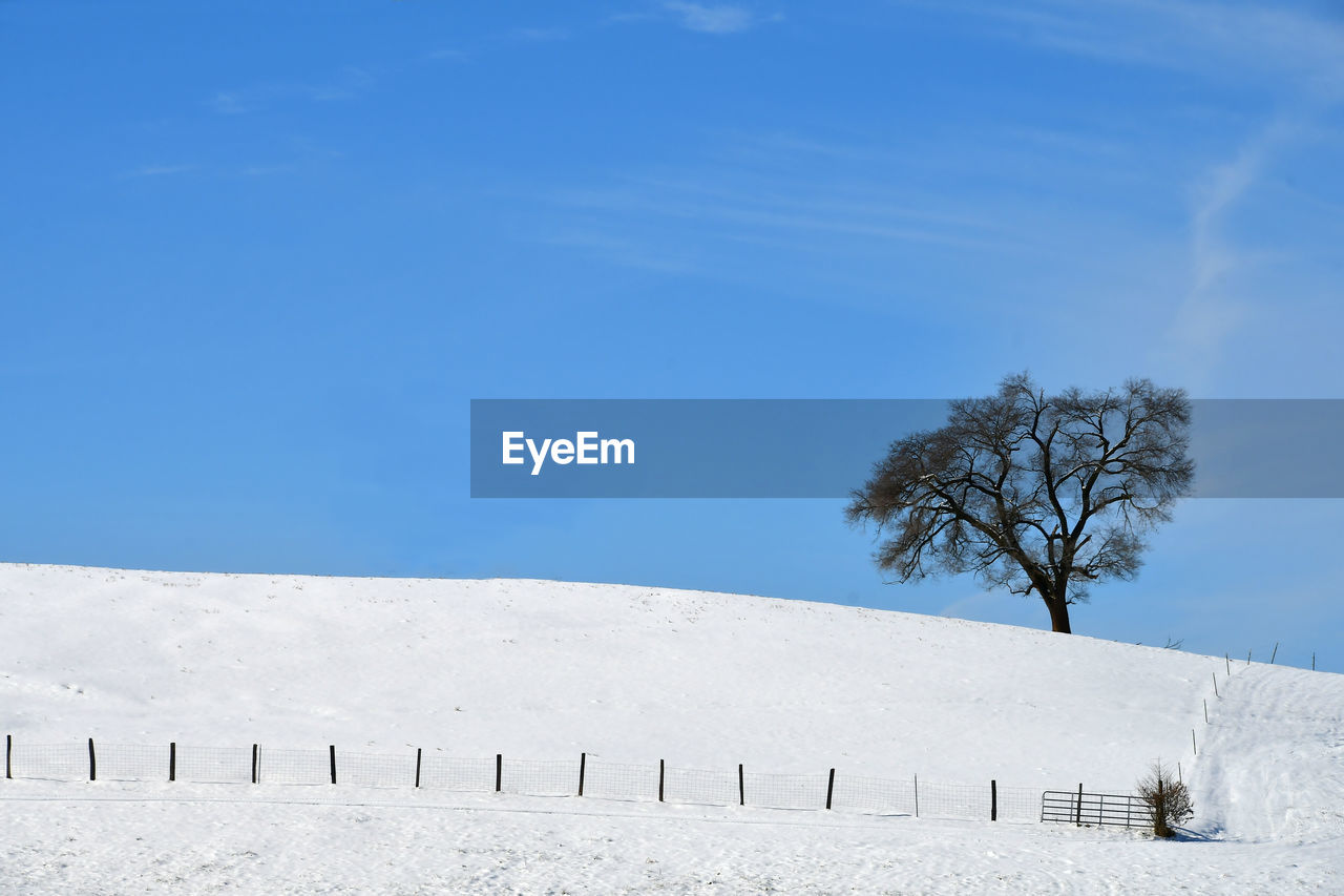 Scenic view of snow covered land against blue sky