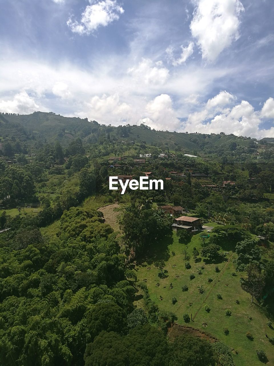 HIGH ANGLE VIEW OF TREES ON LANDSCAPE