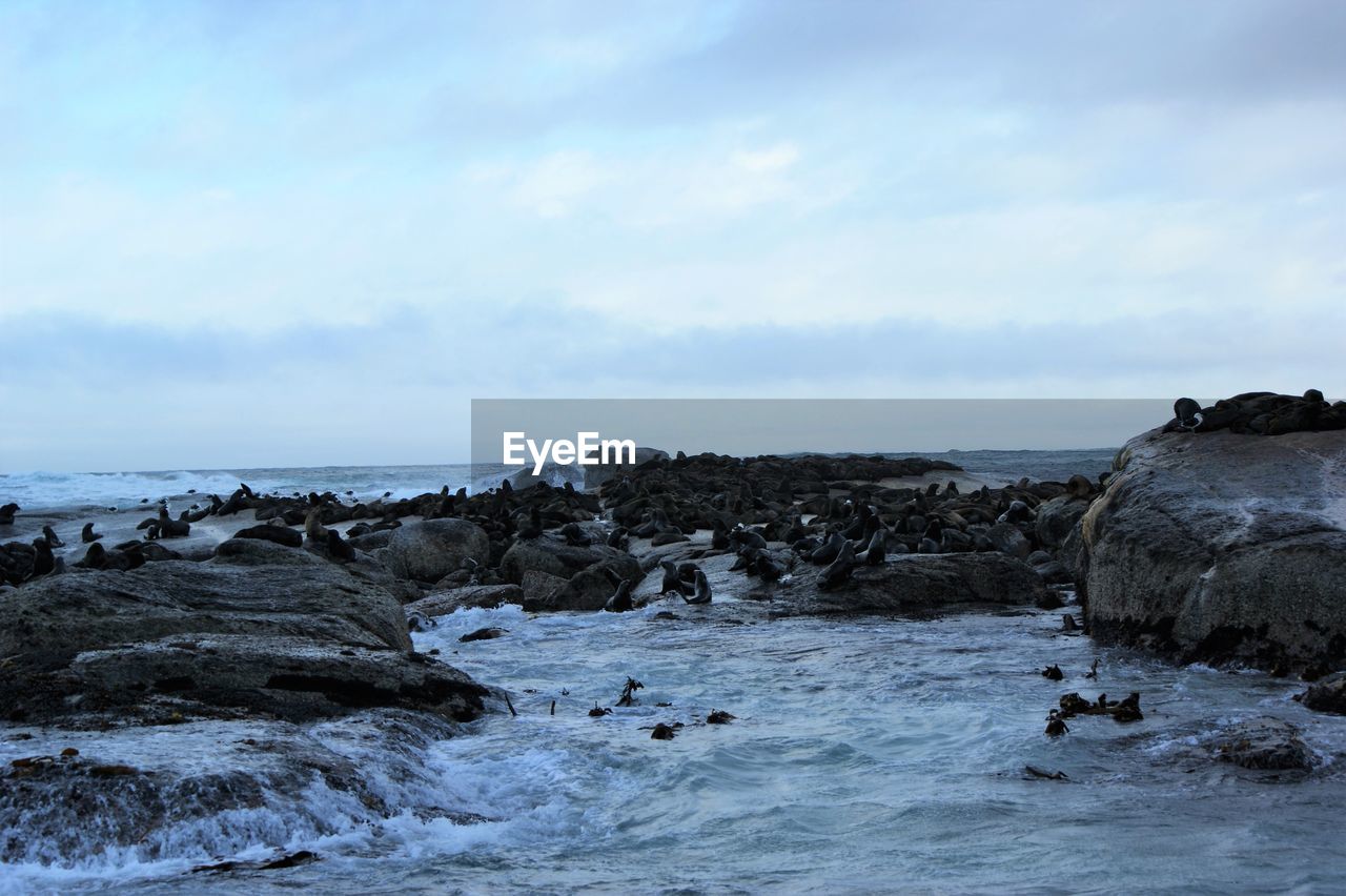 Rocks on sea shore against sky