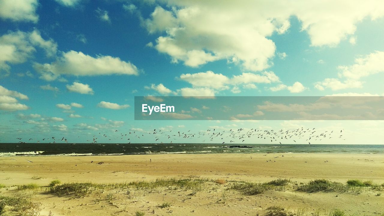 Scenic view of beach against sky