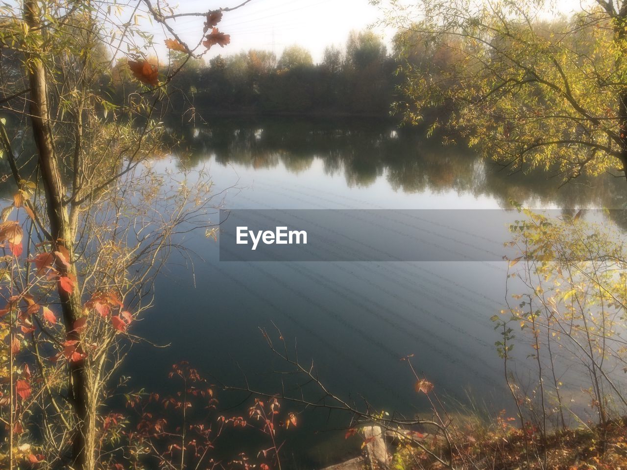 REFLECTION OF TREES ON WATER