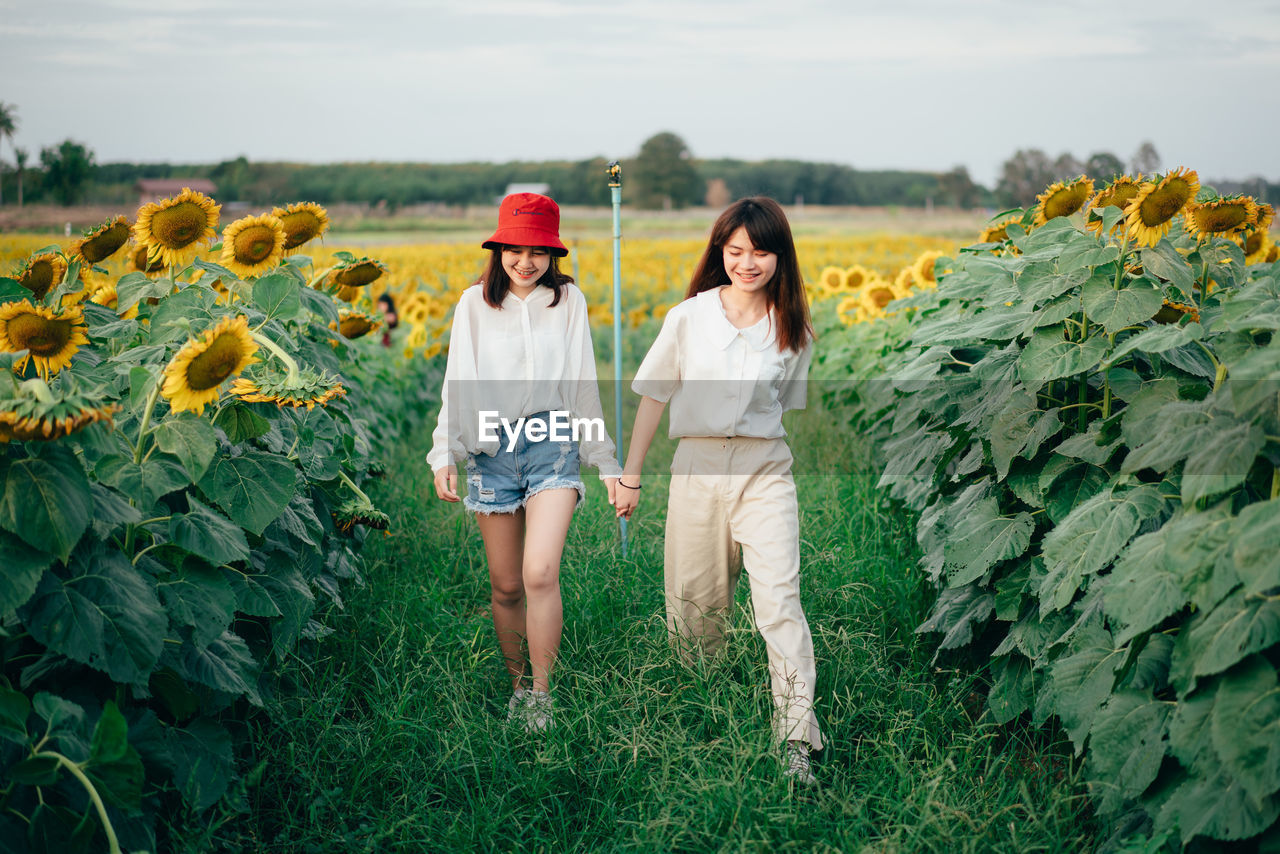Female friends holding hands while walking at sunflower farm