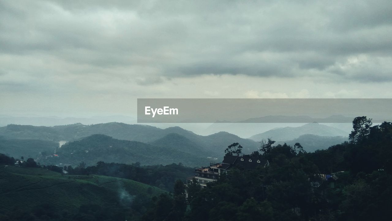 SCENIC VIEW OF TREE MOUNTAINS AGAINST SKY