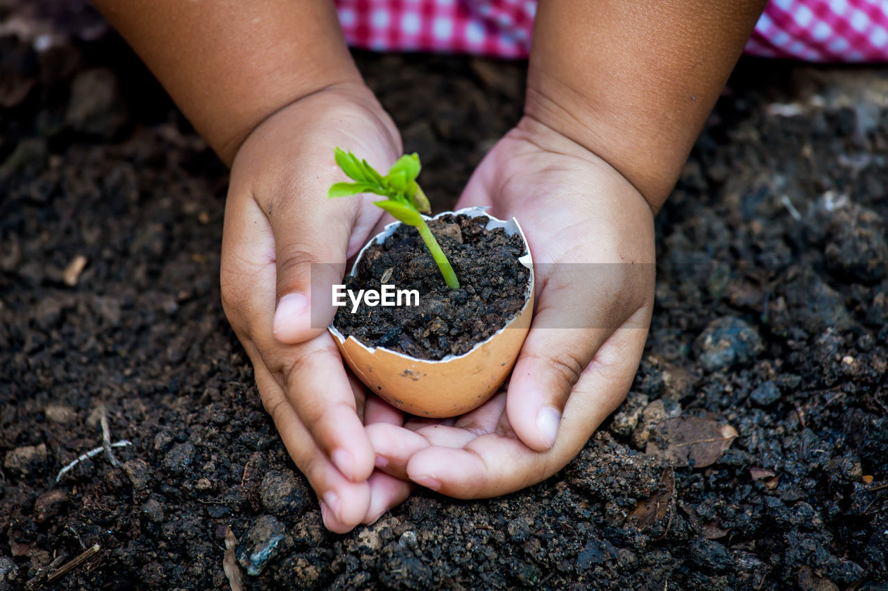 Close-up of girl holding plant in egg shell