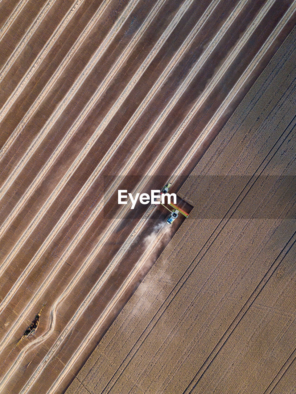 High angle view of worker working on agricultural land