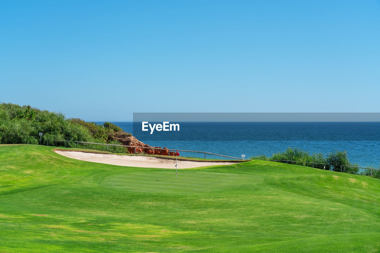 SCENIC VIEW OF BEACH AGAINST CLEAR SKY