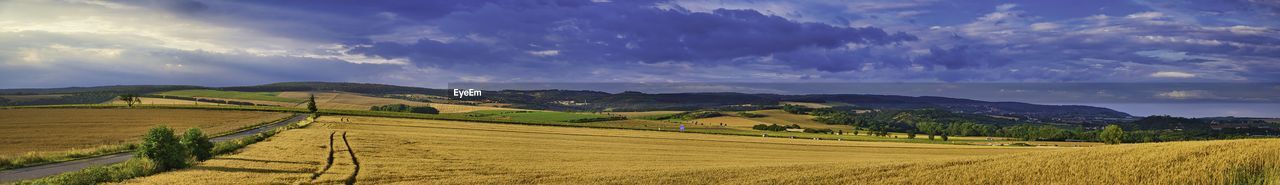 Panoramic view of agricultural field against sky