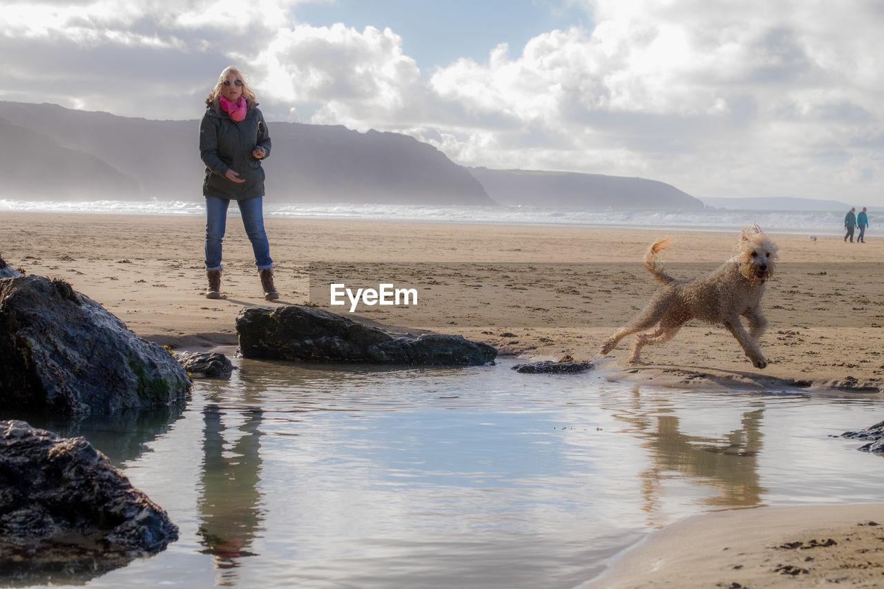 Woman standing by golden doodle running at beach