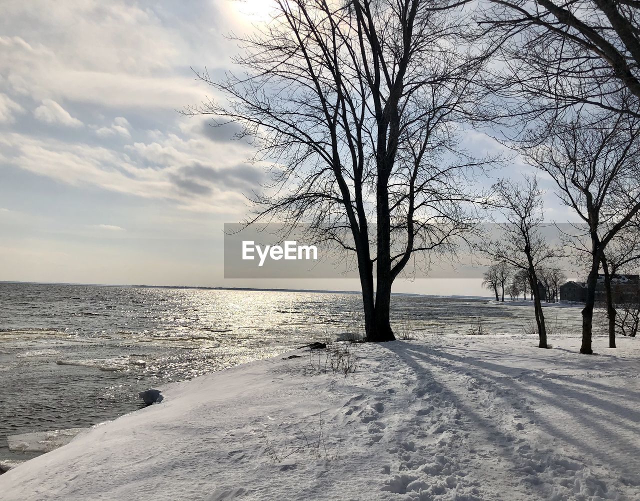 Bare trees on snow covered land by sea against sky