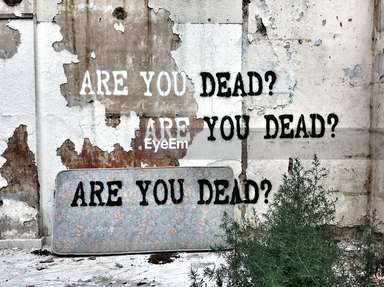 Text on abandoned wall