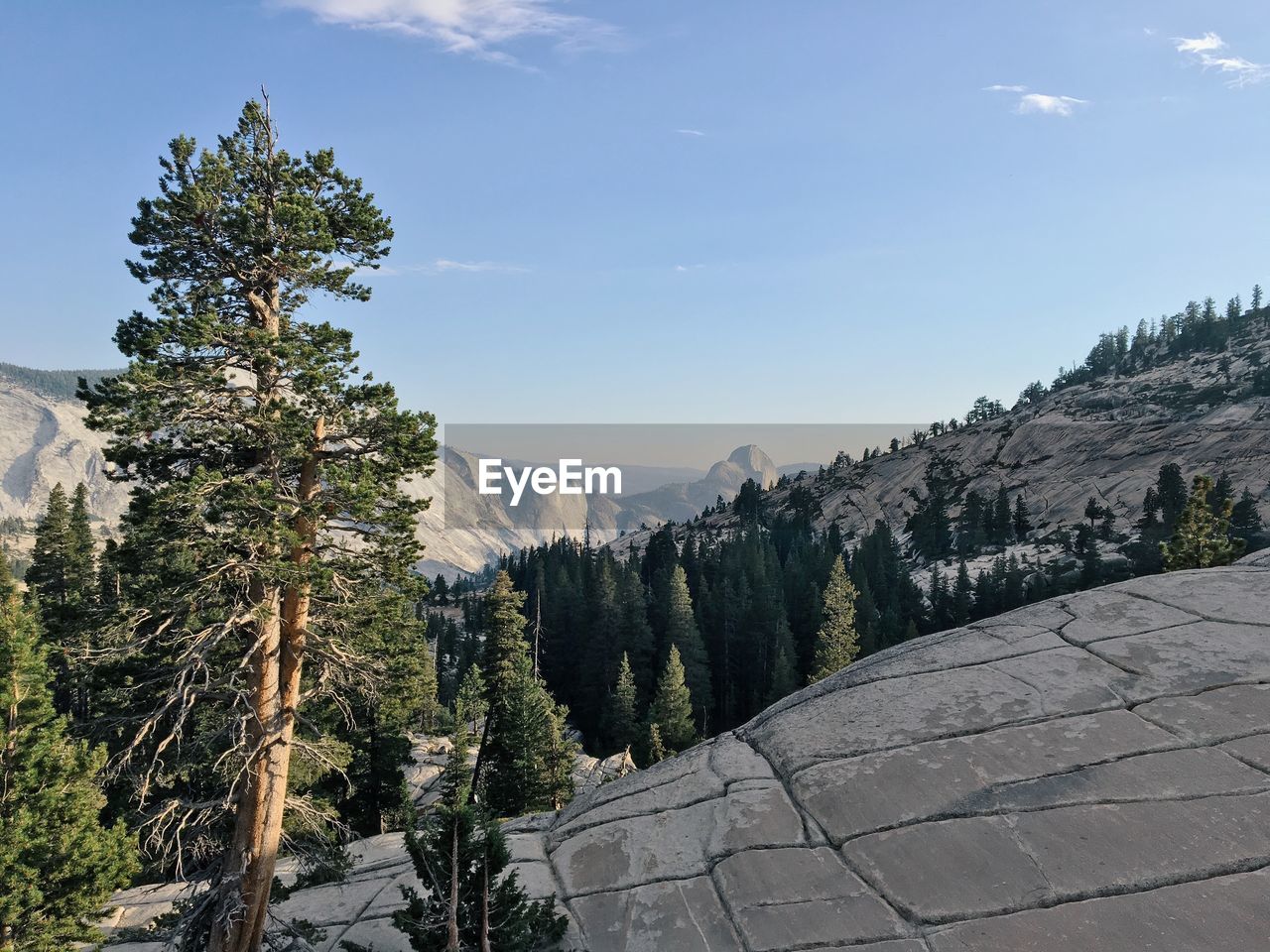 Scenic view of snow covered landscape