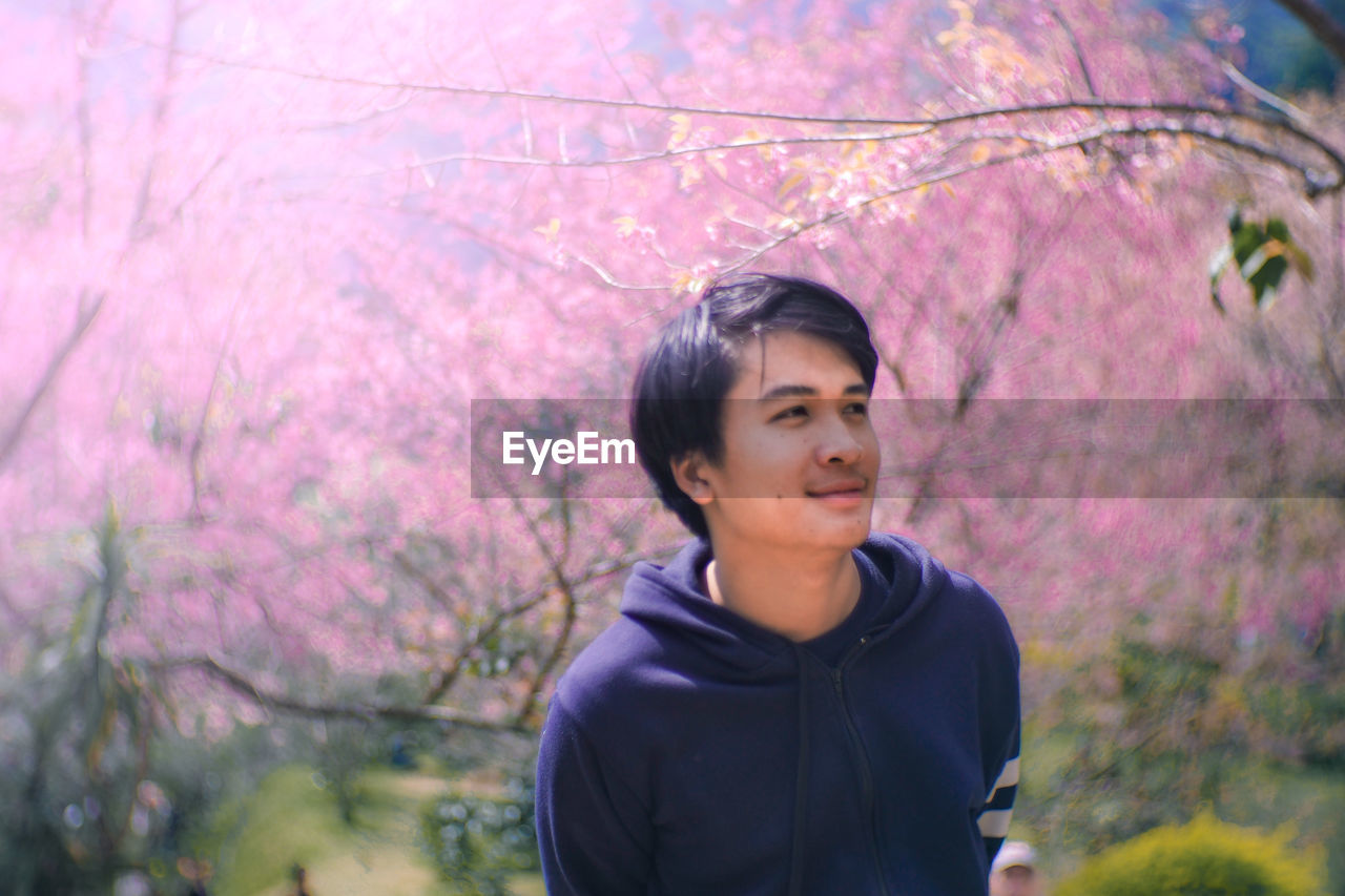 Man looking away against pink tree