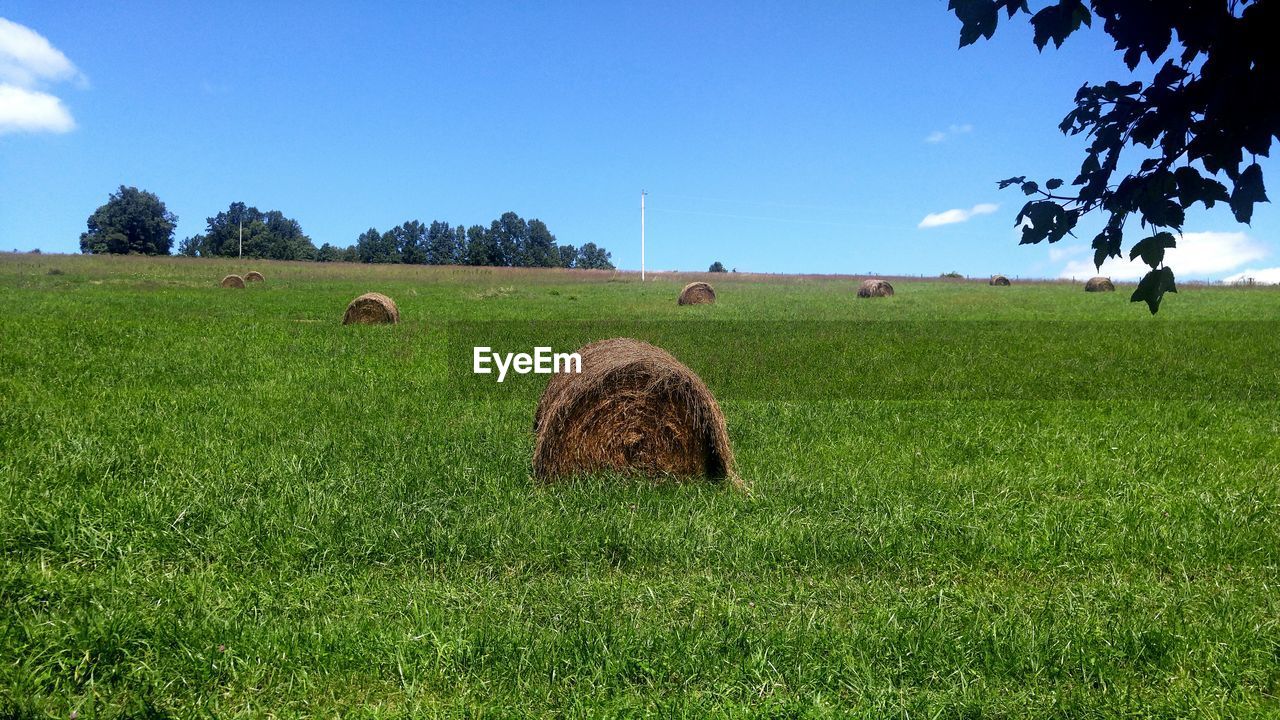 Hay bales on field against sky