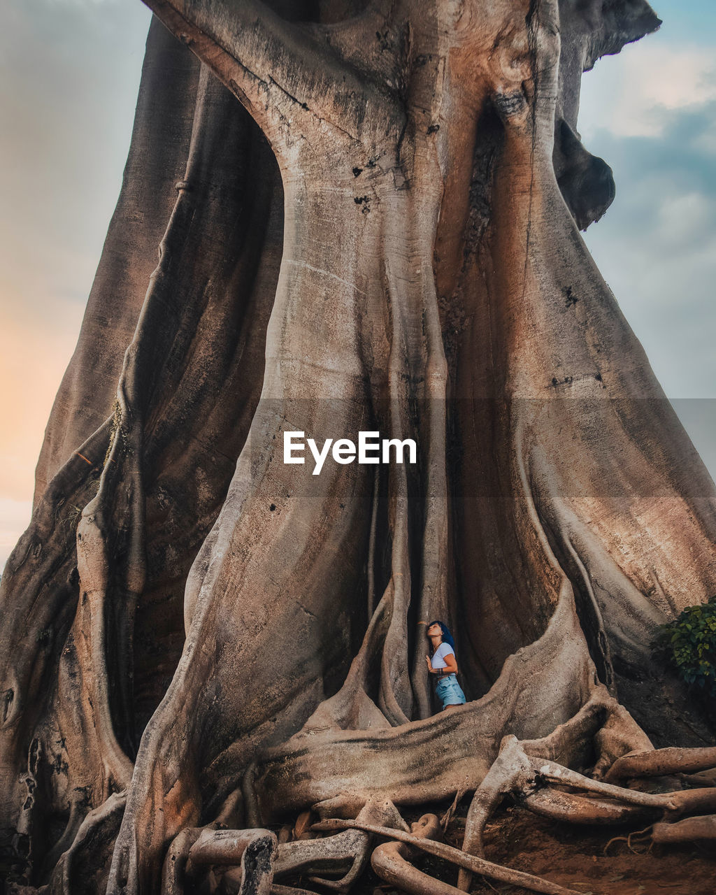 Man standing on tree trunk