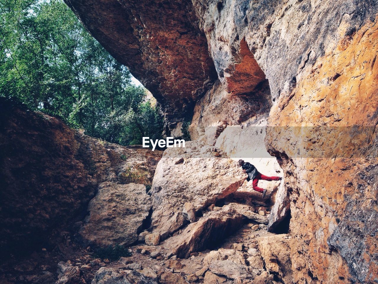 TREES ON ROCK FORMATION