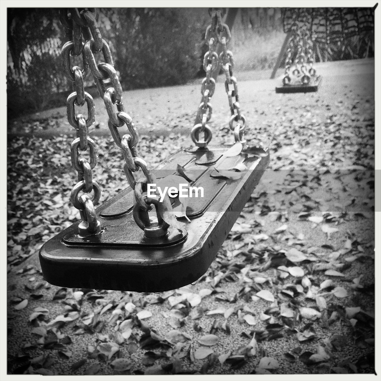 Dry leaves on swings at park