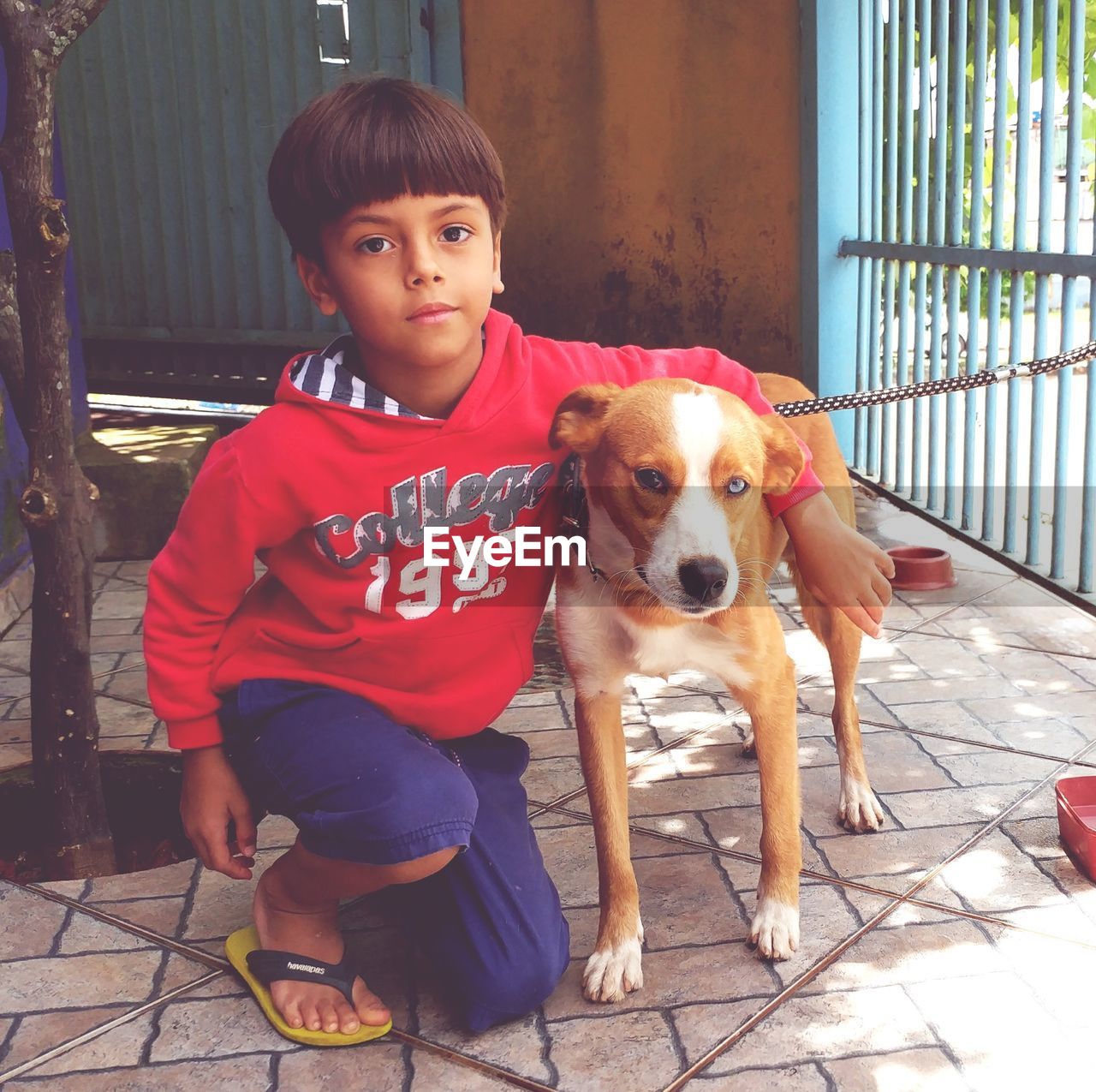 PORTRAIT OF CUTE GIRL SITTING ON DOG