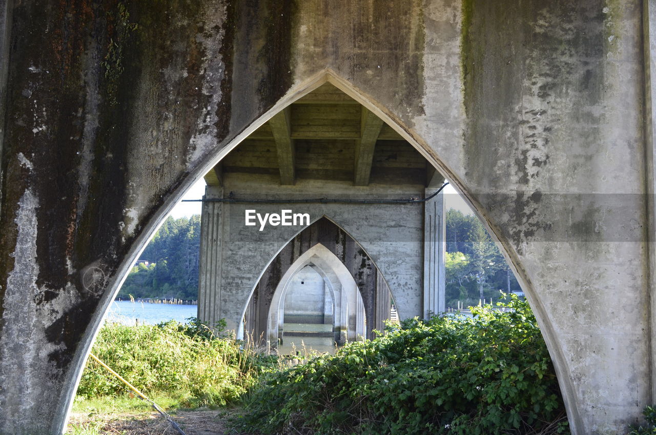 Low angle view of bridge over plants and river