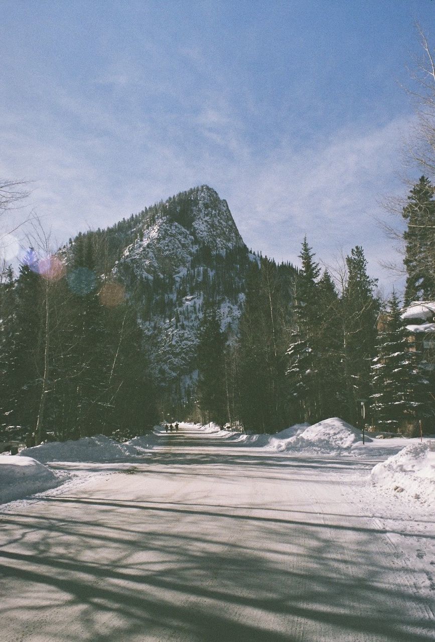 SNOW COVERED ROAD BY TREES AGAINST SKY