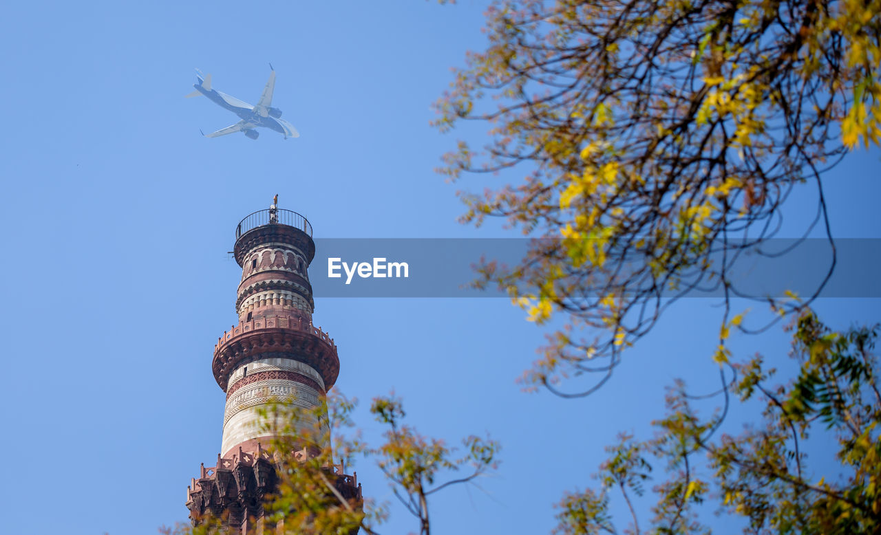 tree, sky, architecture, plant, low angle view, nature, built structure, tower, travel destinations, clear sky, travel, no people, blue, building exterior, flower, tourism, city, outdoors, day, building, religion, history, belief, sunny, the past, communications tower