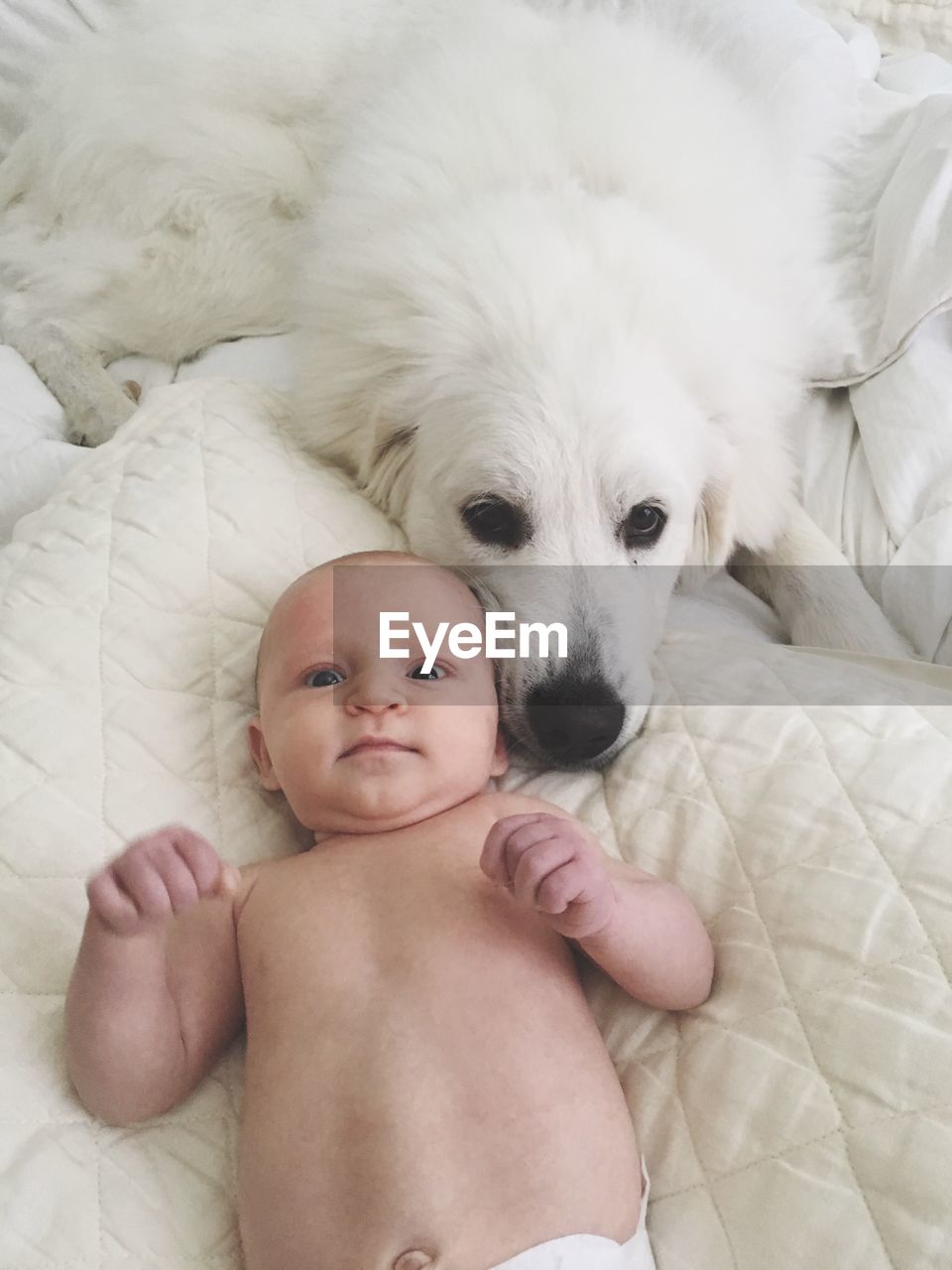 Portrait of cute baby with dog