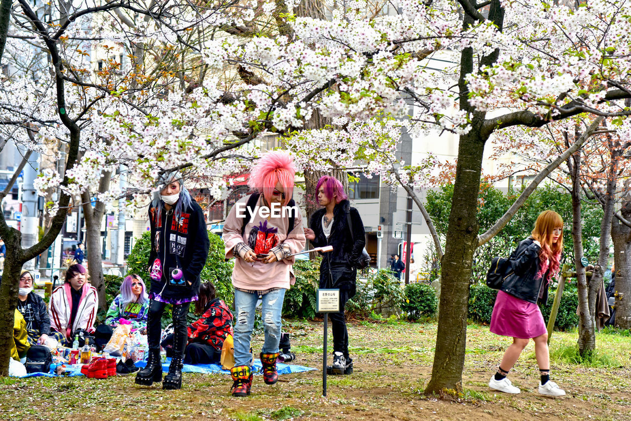 FULL LENGTH OF A GIRL WITH PINK CHERRY BLOSSOM