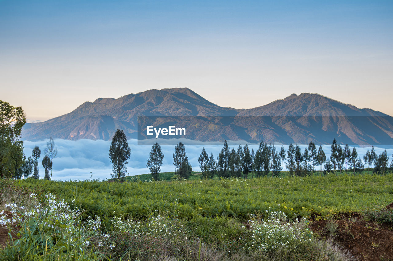 SCENIC VIEW OF FIELD AND MOUNTAINS AGAINST SKY