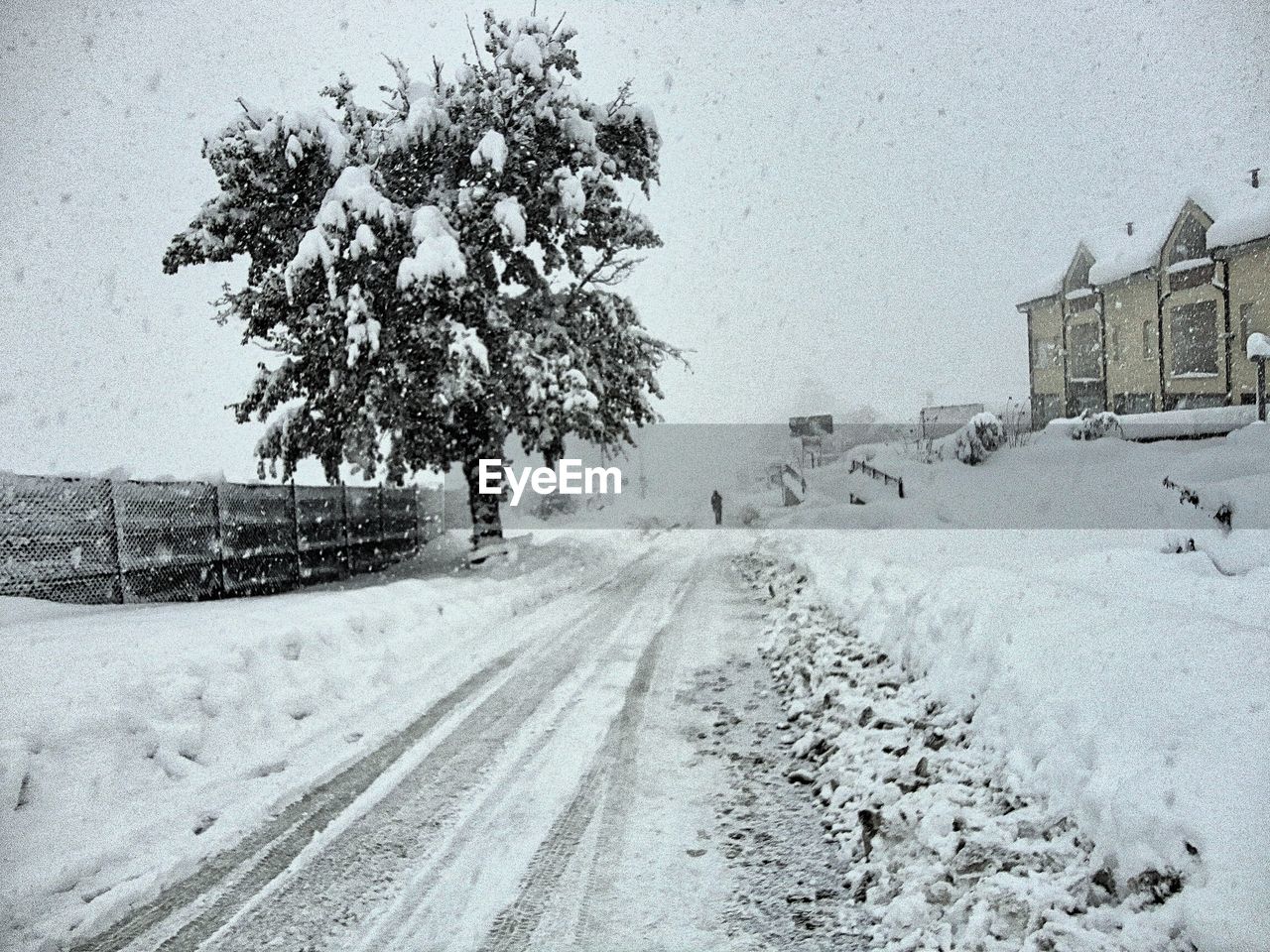 SNOW COVERED ROAD BY TREES AND BUILDINGS