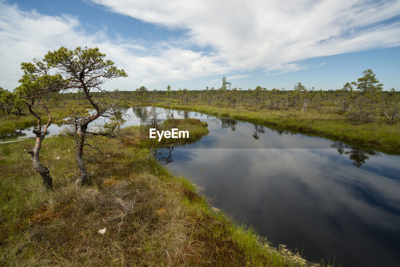 SCENIC VIEW OF LAKE