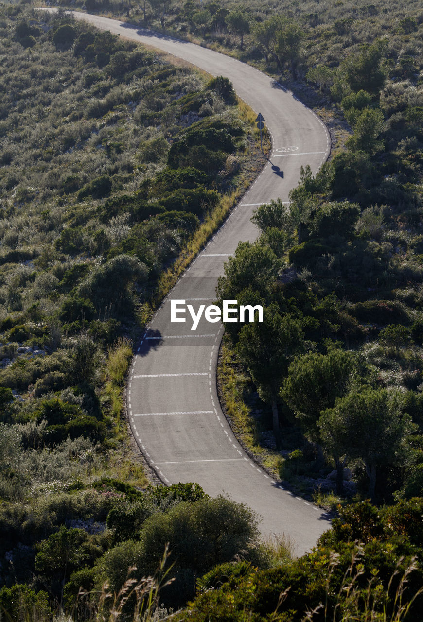 High angle view of road amidst trees