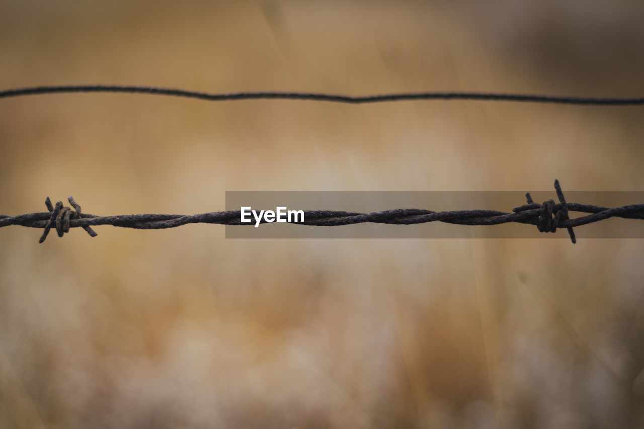 Close-up of barbed wire fence