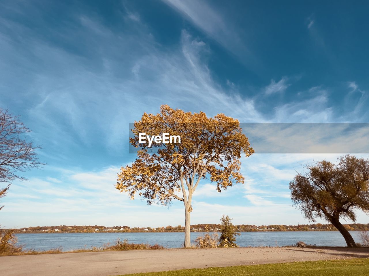 tree, sky, plant, water, cloud, nature, beauty in nature, land, scenics - nature, environment, landscape, sea, beach, blue, tranquility, morning, tranquil scene, sunlight, horizon, no people, travel destinations, grass, outdoors, travel, autumn, day, idyllic, tourism, water's edge, non-urban scene, rural scene, cloudscape, horizon over water, summer, coastline