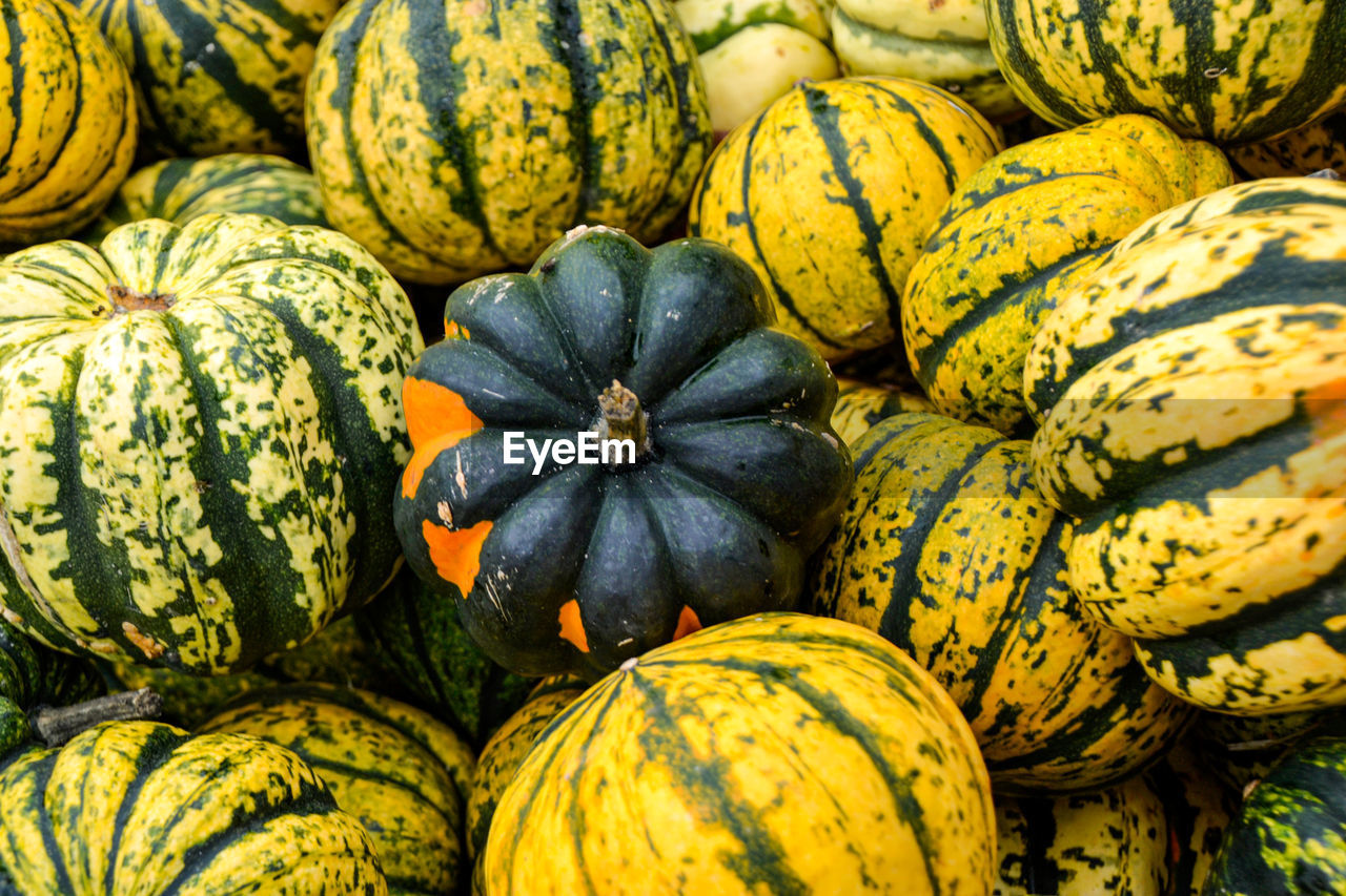 Full frame shot of pumpkins in market