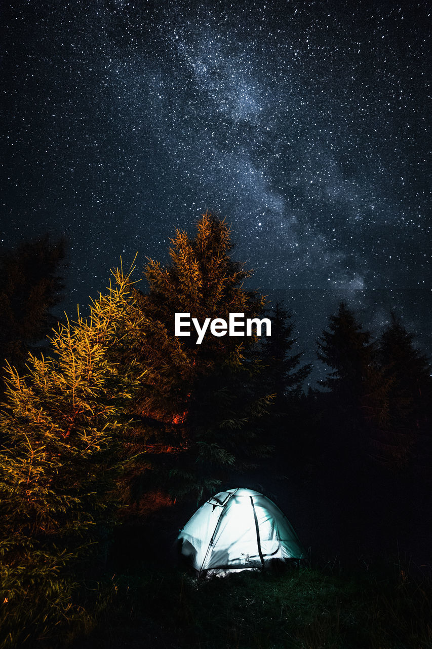 Tent and trees against sky at night