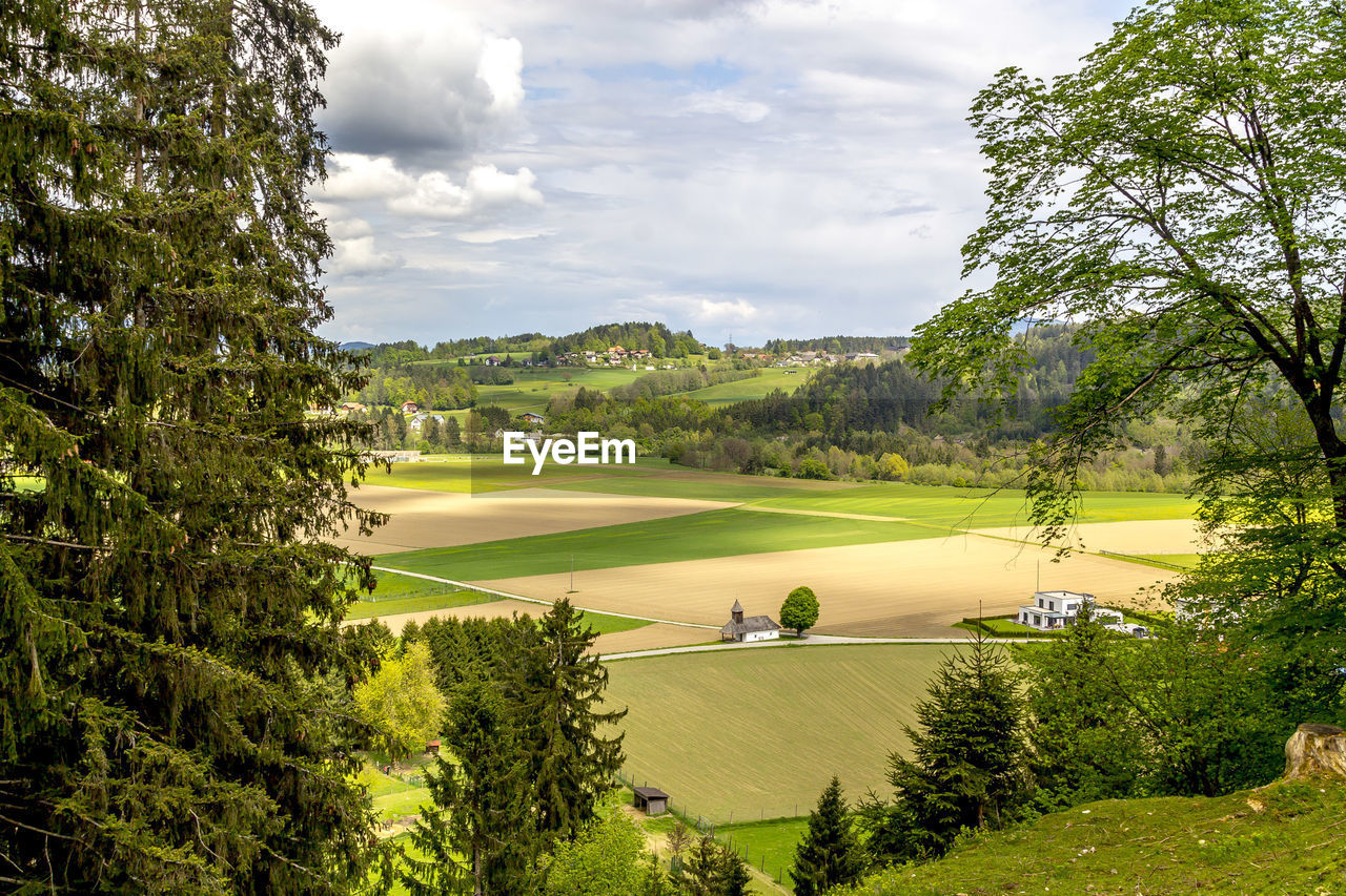 Scenic view of grassy field against cloudy sky