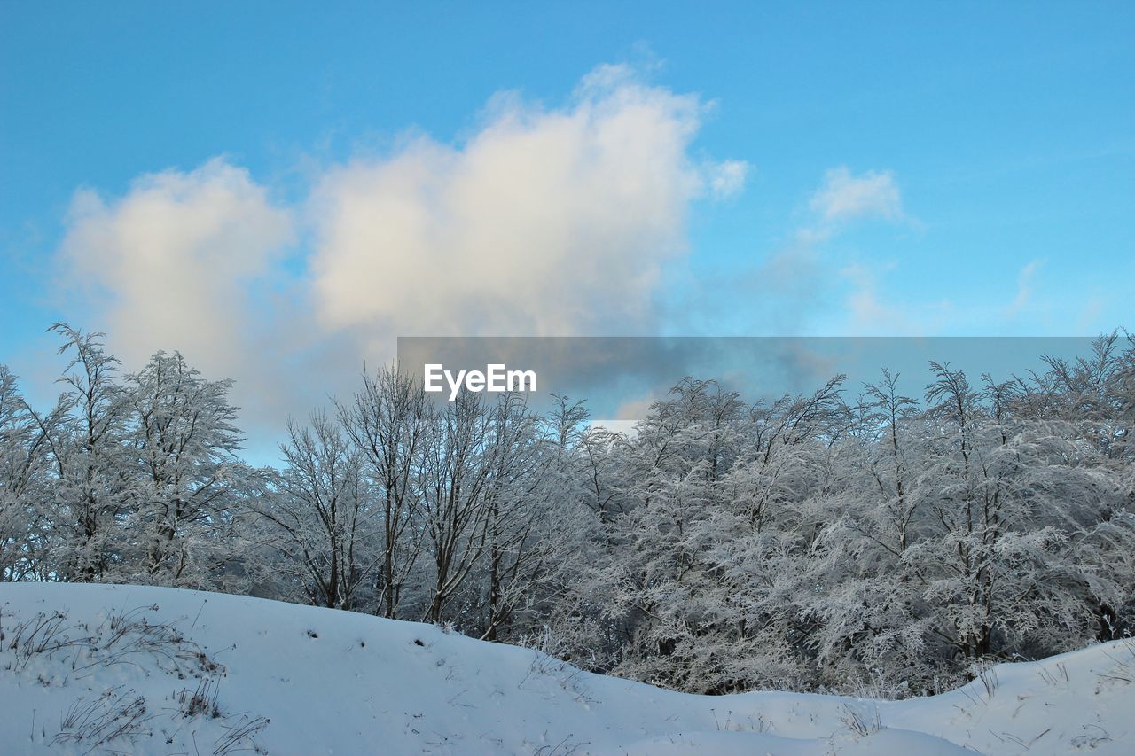 PANORAMIC VIEW OF SNOW COVERED LANDSCAPE AGAINST SKY