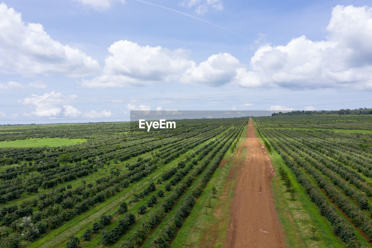 SCENIC VIEW OF FARM AGAINST SKY