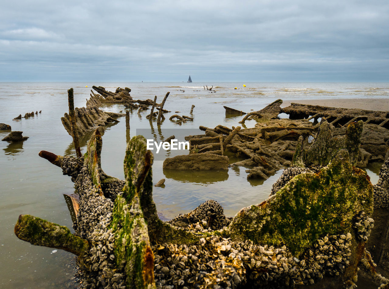 Seashell covered shipwreck leftovers from a world war 2 ship at a beach in northern france,