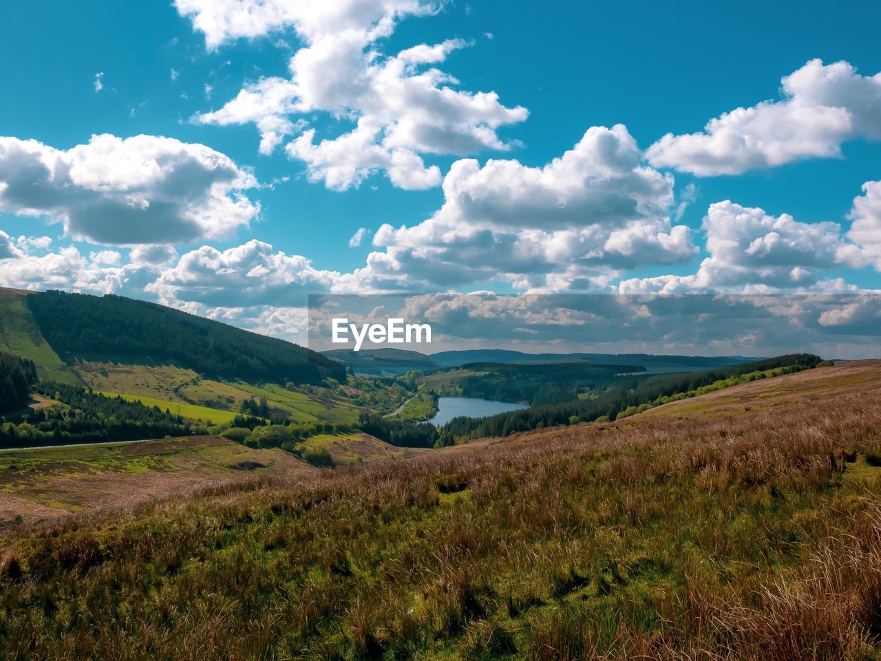 SCENIC VIEW OF FIELD AGAINST CLOUDY SKY