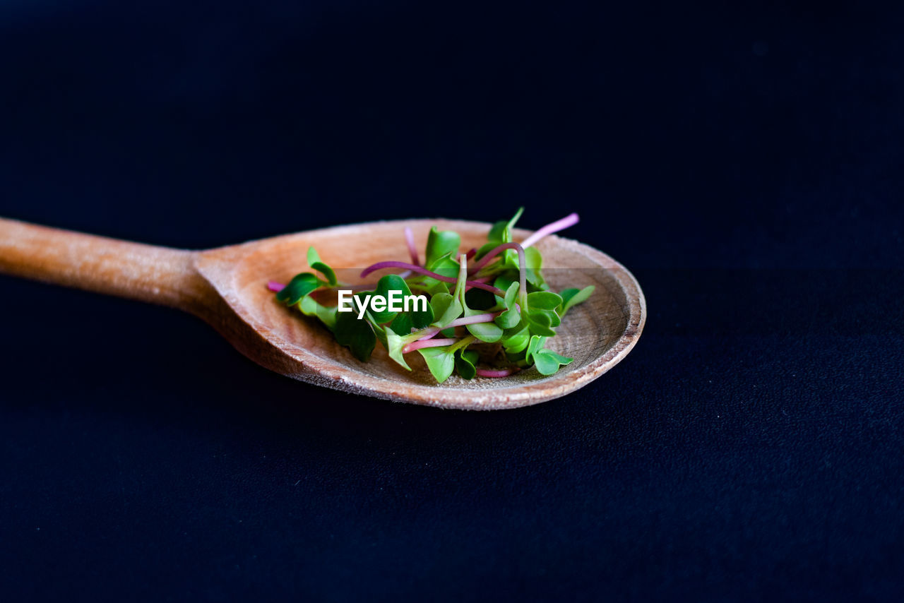 CLOSE-UP OF SALAD IN PLATE