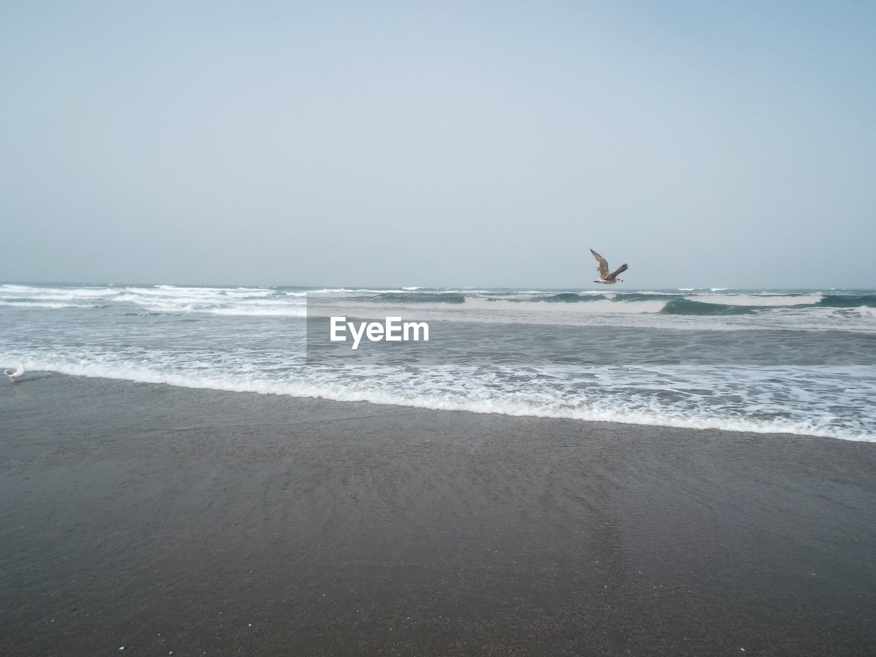 VIEW OF A BEACH